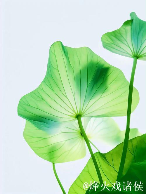 青青草伊人网：畅享绿色清新与唯美人生