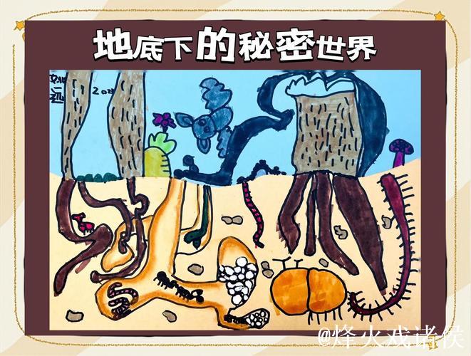 探索“蝌蚪网91窝”的神秘世界 探索“蝌蚪网91窝”的神秘世界